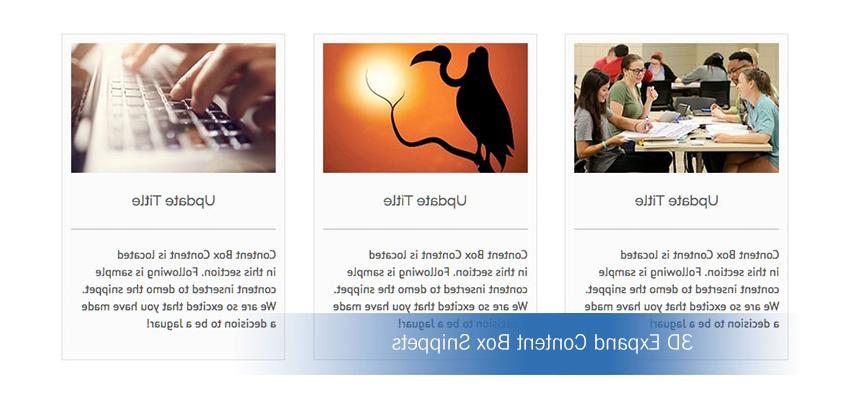 3D Expand Content Box Snippets